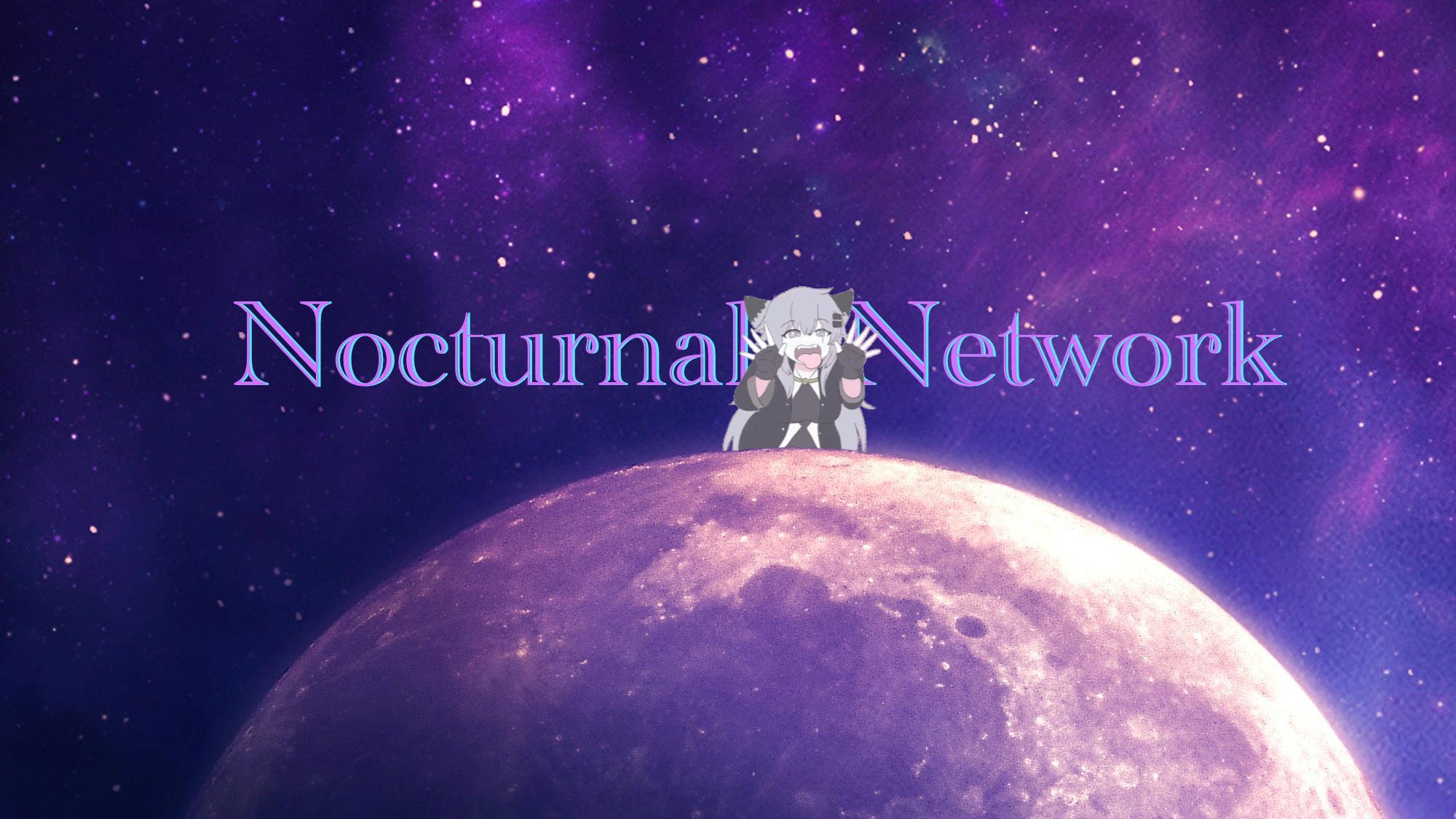 Nocturnal Networkのバナー