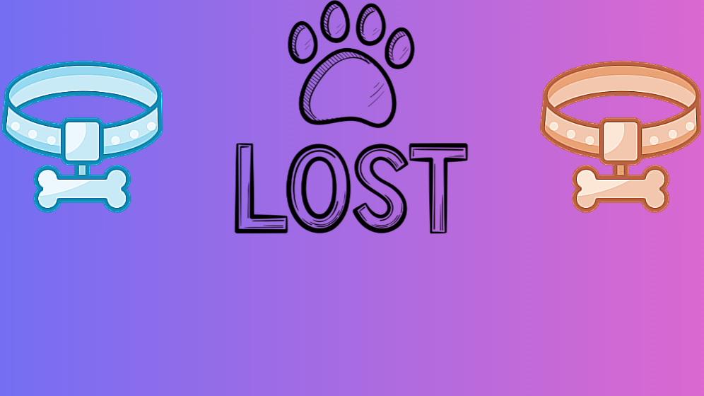 Lost Pets