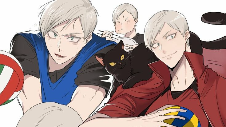 Lev Haiba
