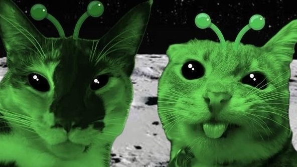 The Witnesses Of GoonCat