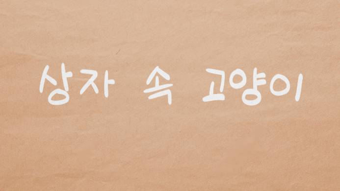 상자 속 고양이のバナー