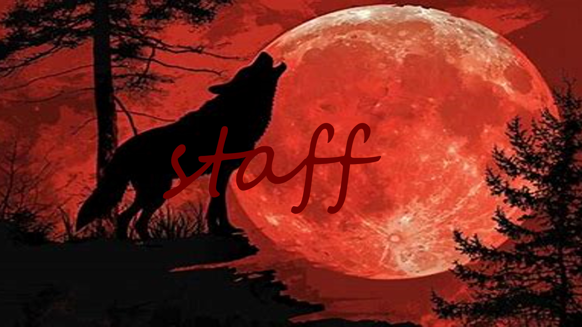 staffのバナー