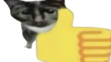 MensAssEnjoyer cult