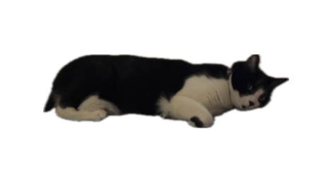 Mycatのバナー