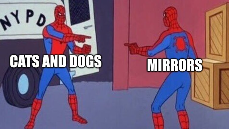 MEME'S 4 LIFE