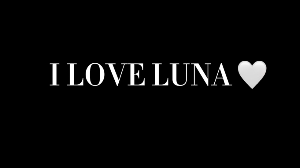 we all love luna