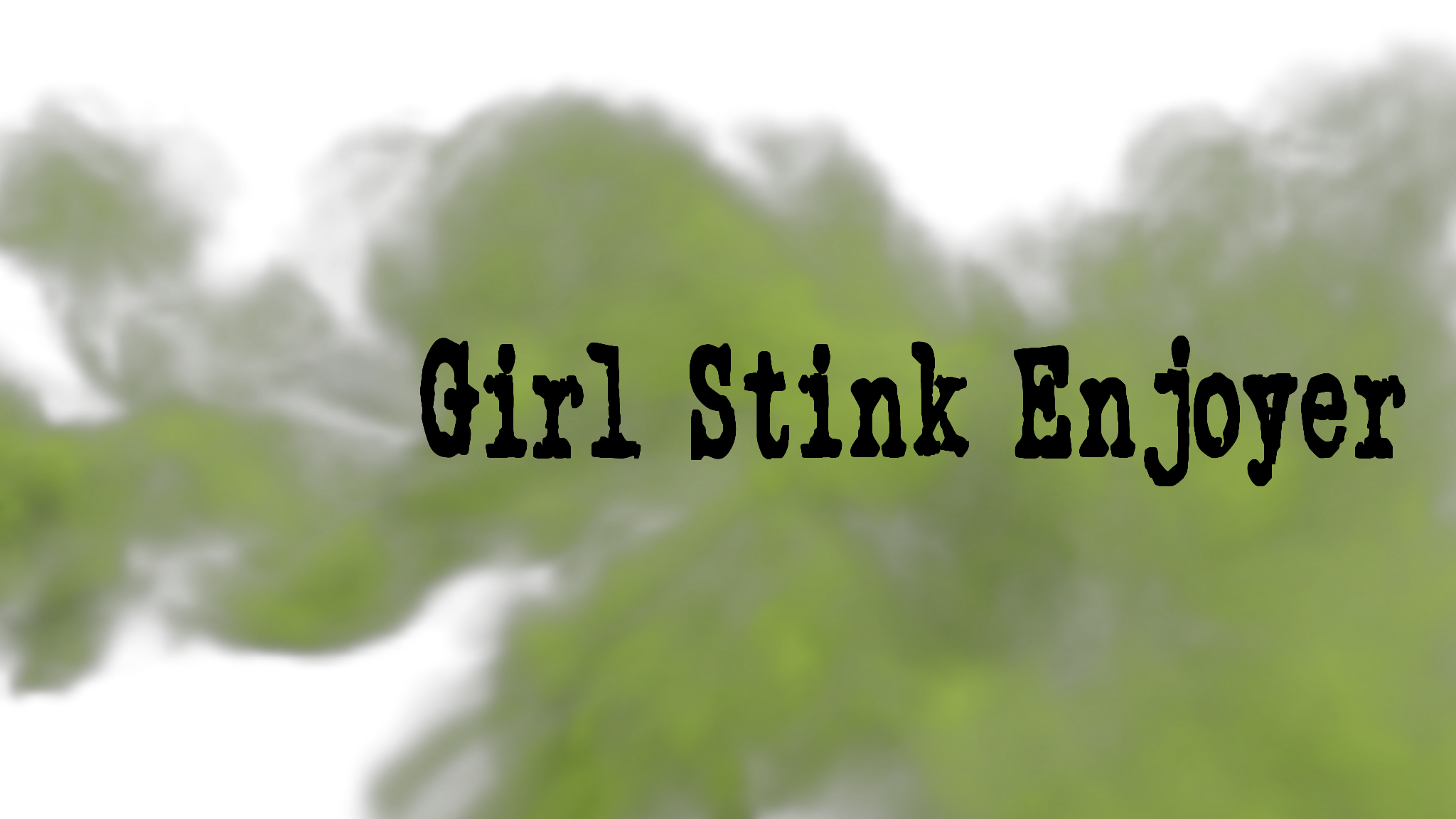 Girl Stinkのバナー