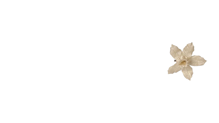 Vanilla's favsのバナー