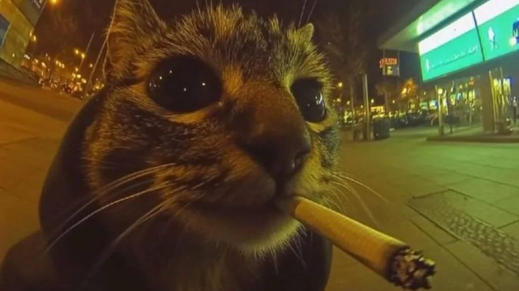 LILAOのバナー