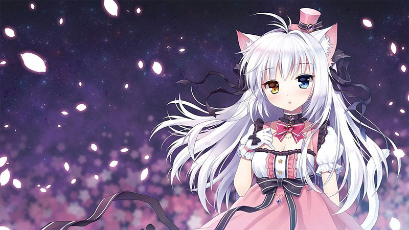 cutecatgirlsのバナー