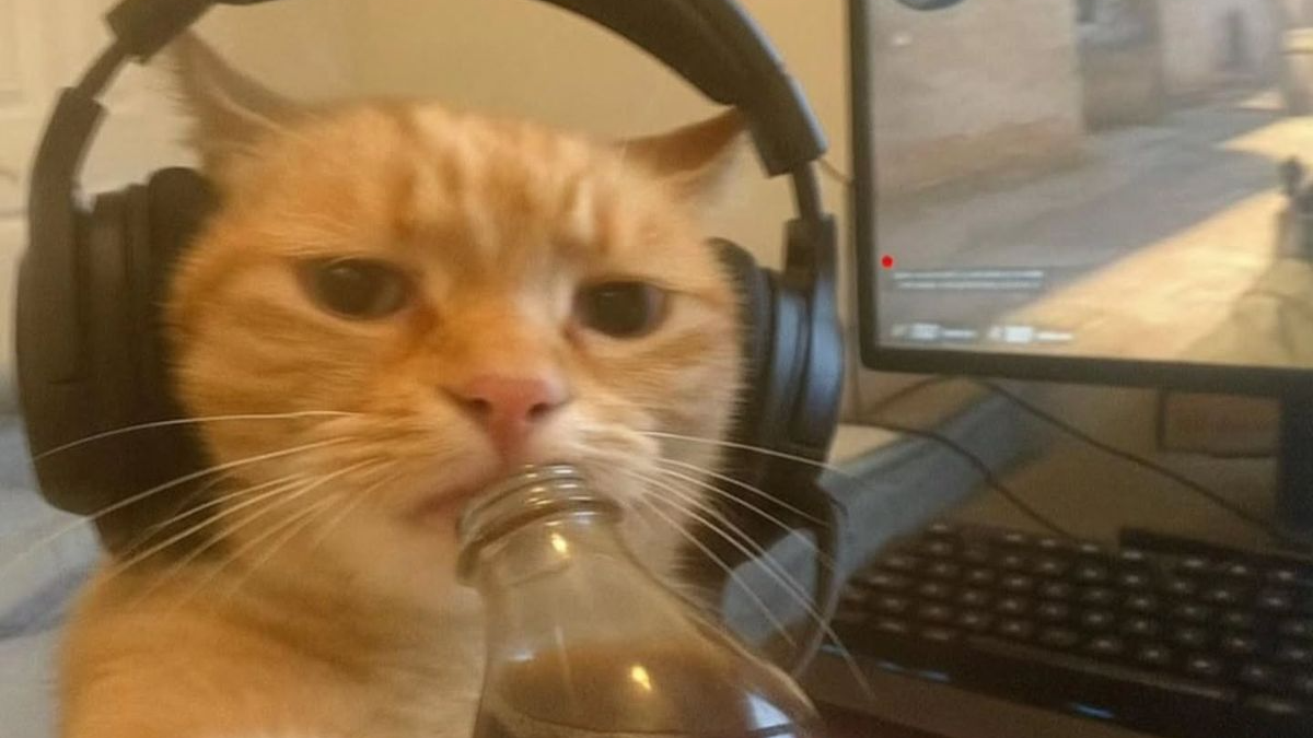 Aris office
