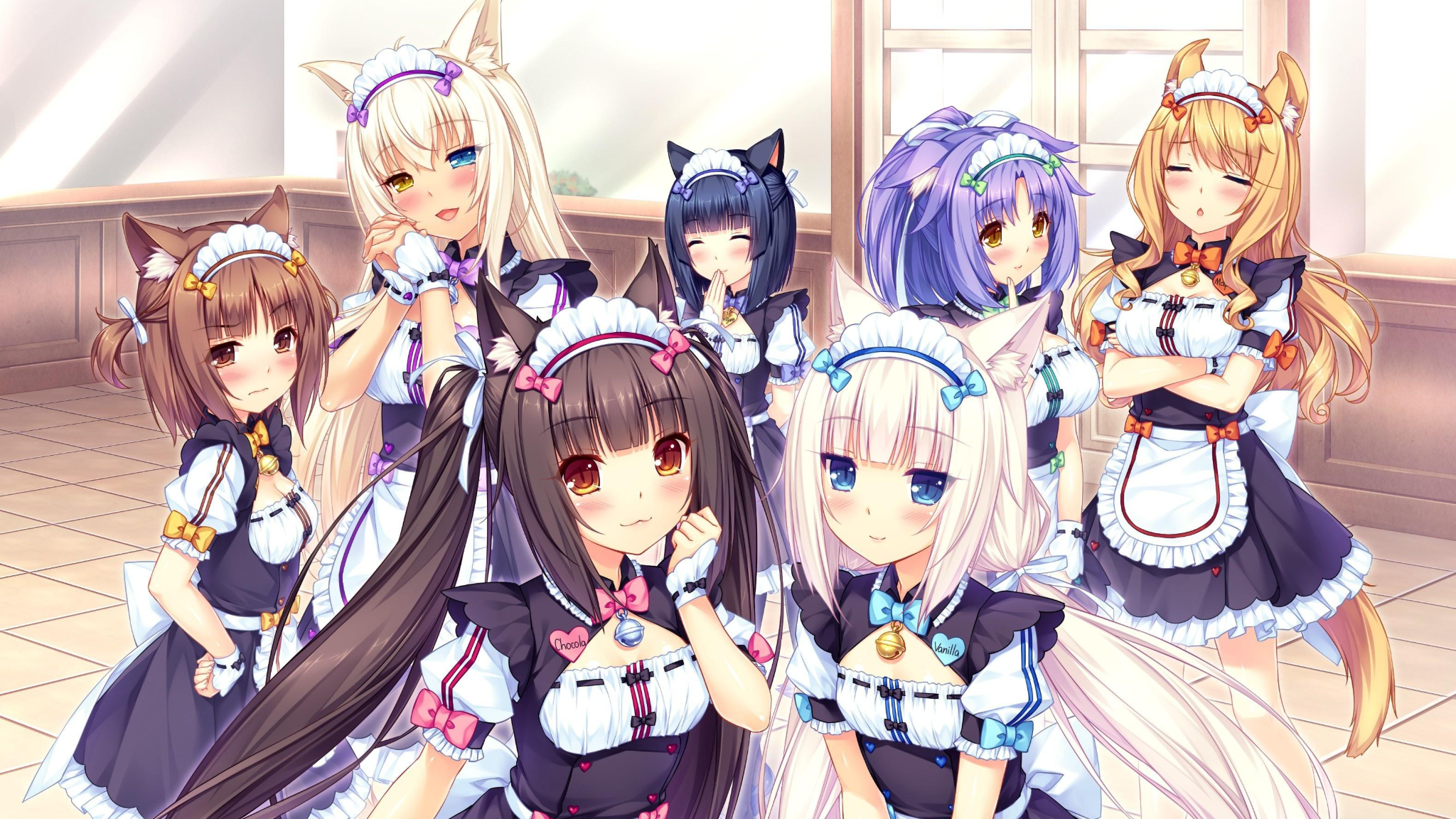 猫娘圣教のバナー