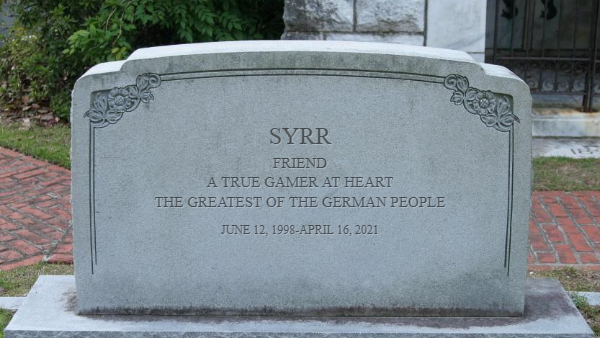 Rip Syrrのバナー
