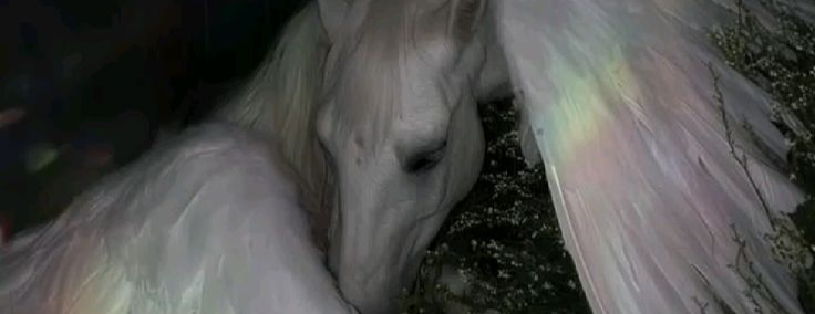 ᴡᴇ ʟᴏᴠᴇ ᴛɪɴsʟᴇʏのバナー