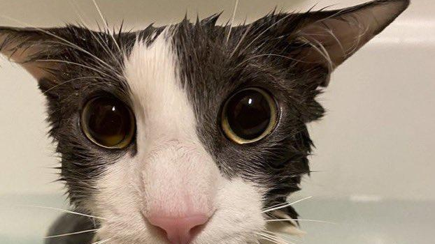 soggy guysのバナー