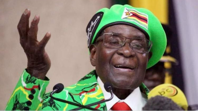 Zimbabwean Loyalistsのバナー