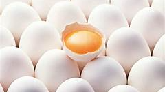 egg piratesのバナー