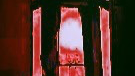 Children Of Mothman Cultのバナー