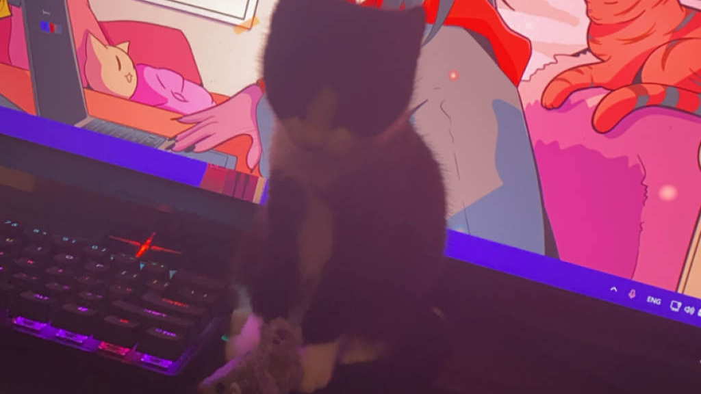 We hate Bell on DNDのバナー