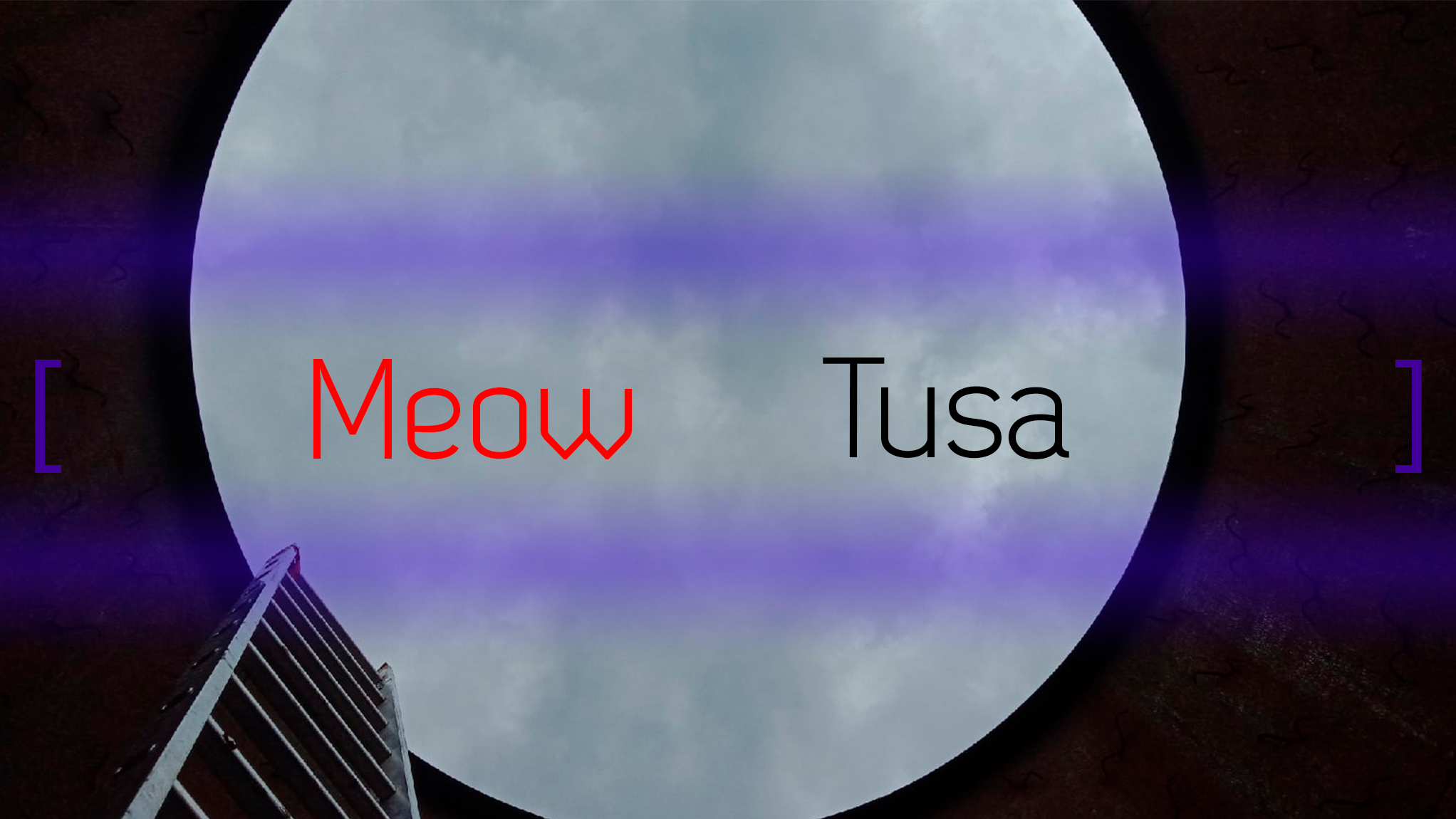 x_MeowTusa_y