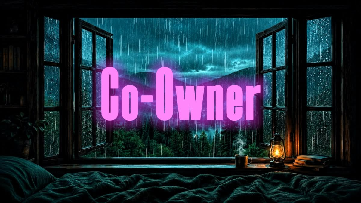 chill nights co-owner