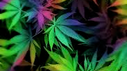 DTS 420