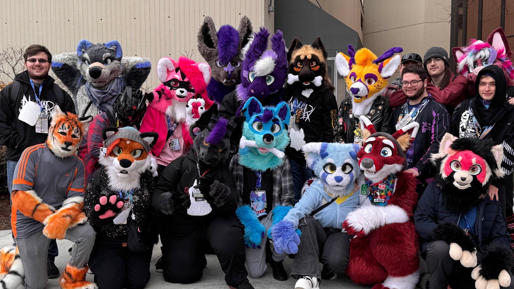 Furry Low Livesのバナー