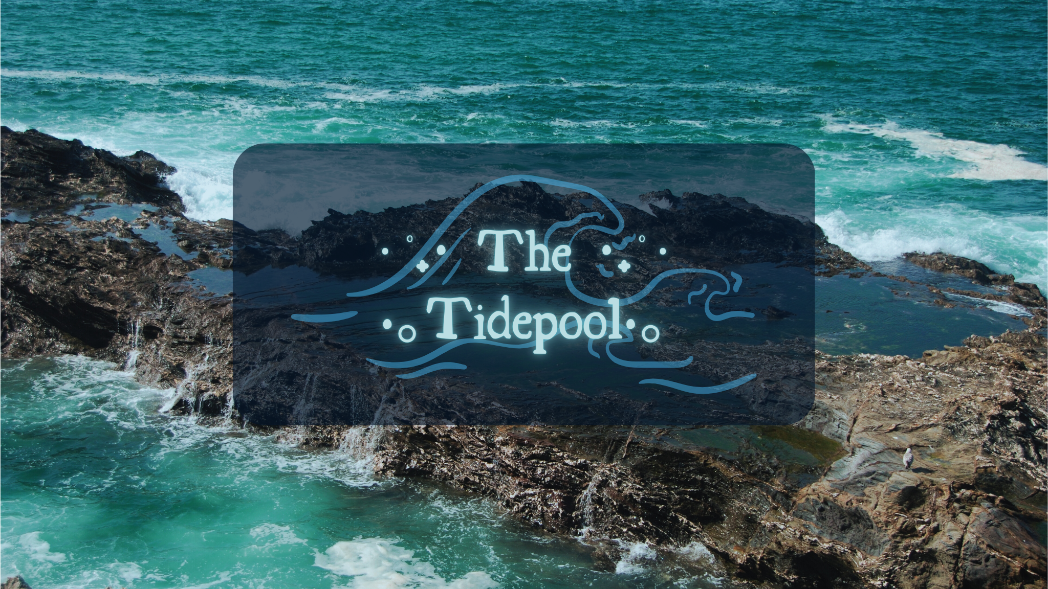 The Tidepoolのバナー
