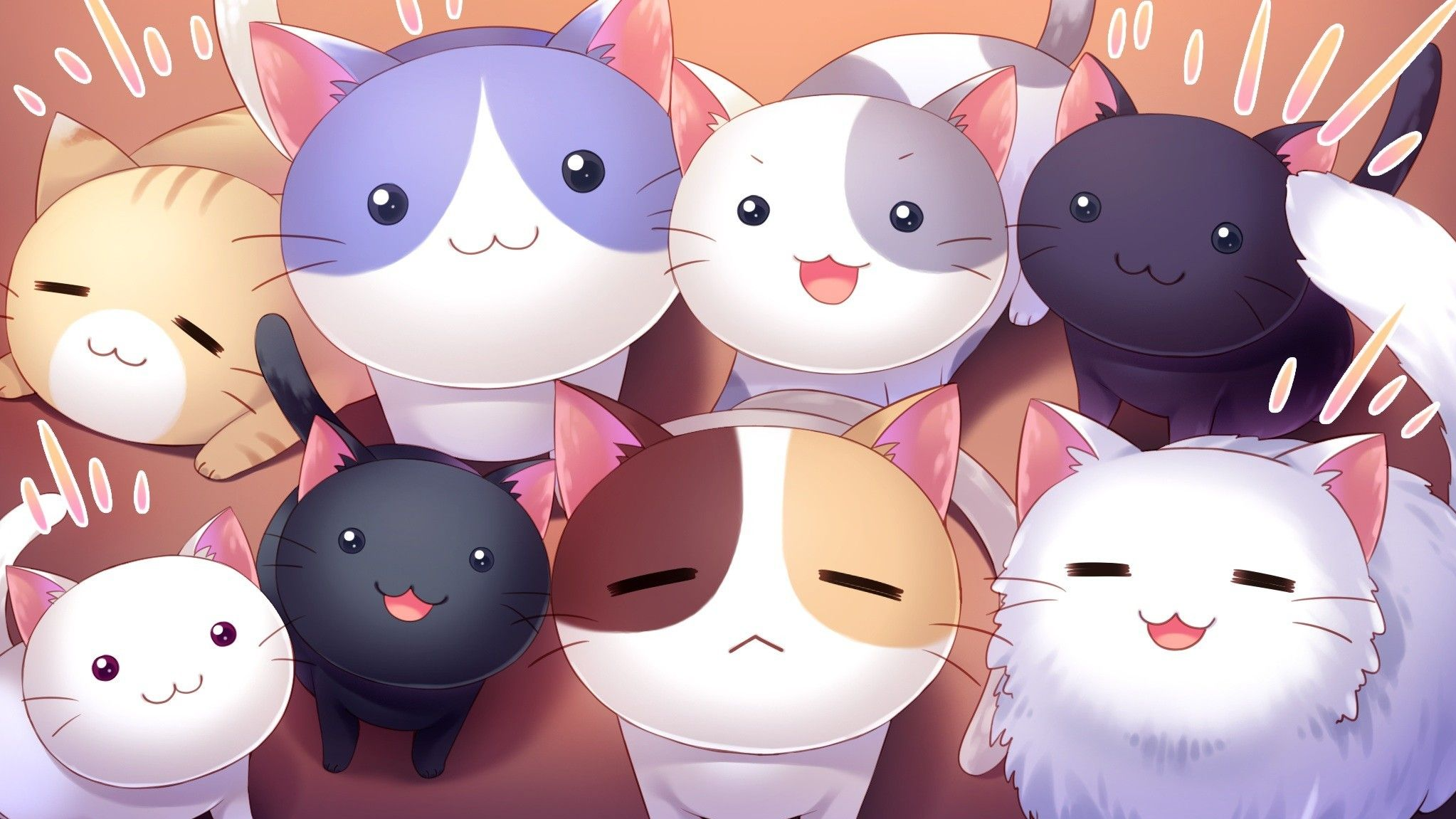 Kitten Land
