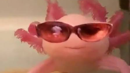 THE AXOLOTL GANG