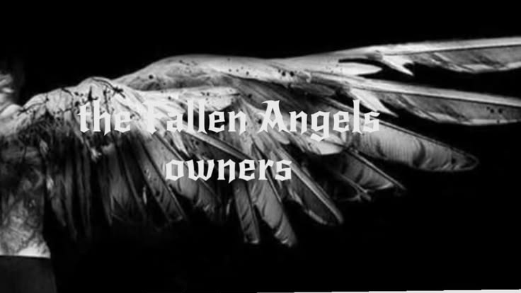The Fallen Angels owners༒のバナー