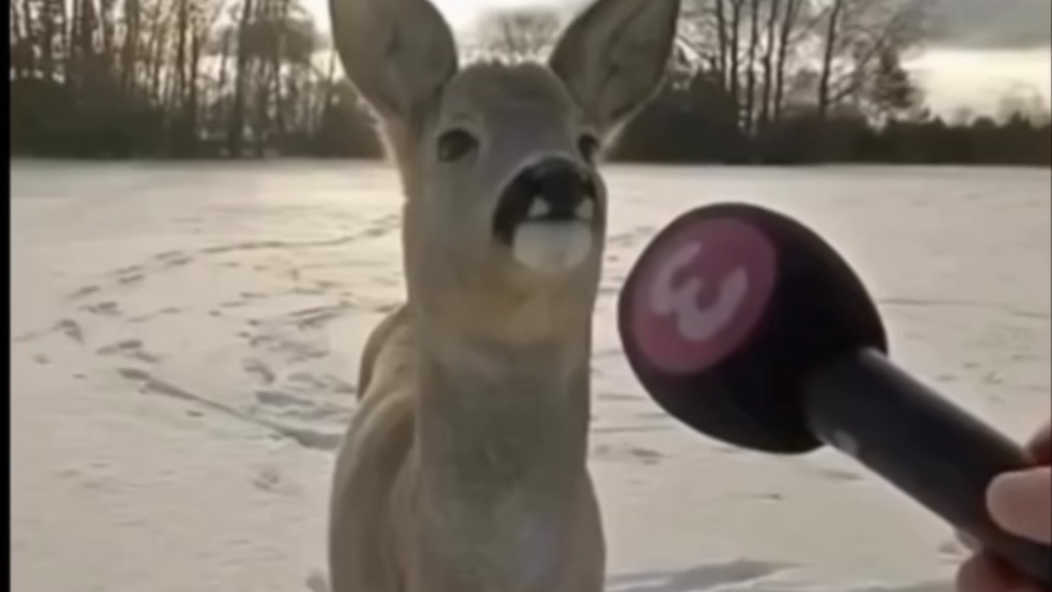 Deerpiorのバナー
