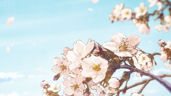 Romance Anime Lovers
