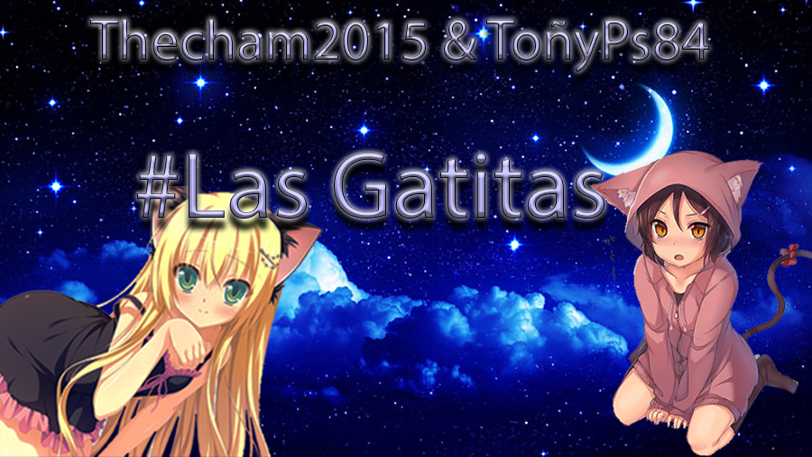 Gatitas