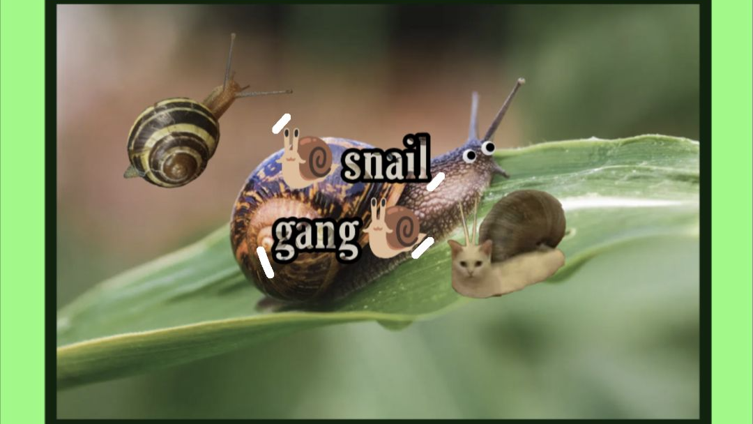 Snailganggg