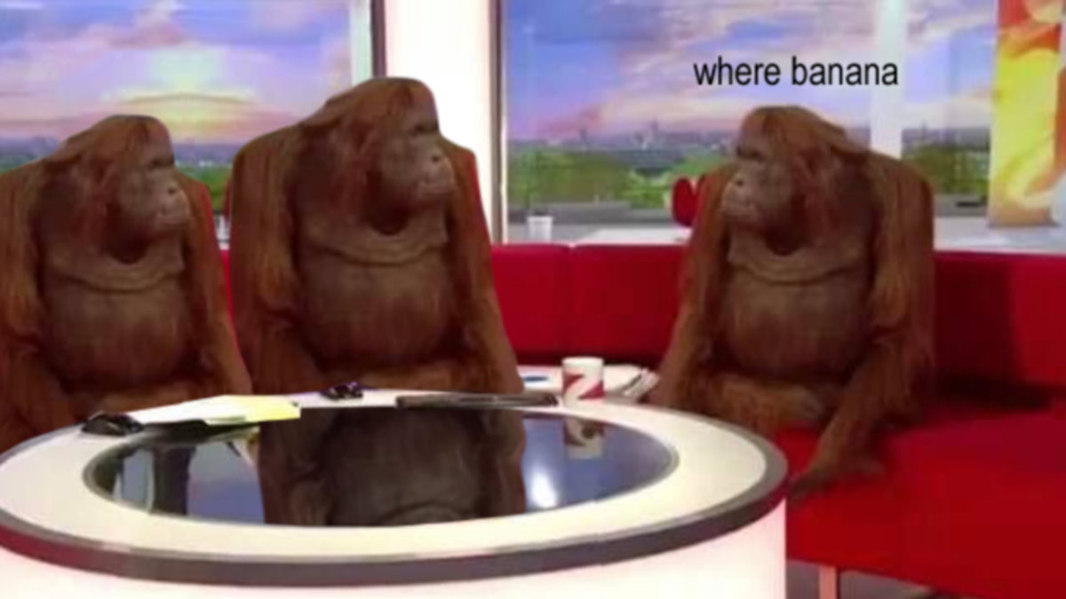 United Monkies