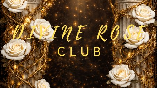 Divine Rose Clubのバナー