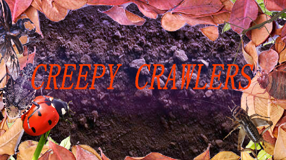 Creepy Crawlersのバナー