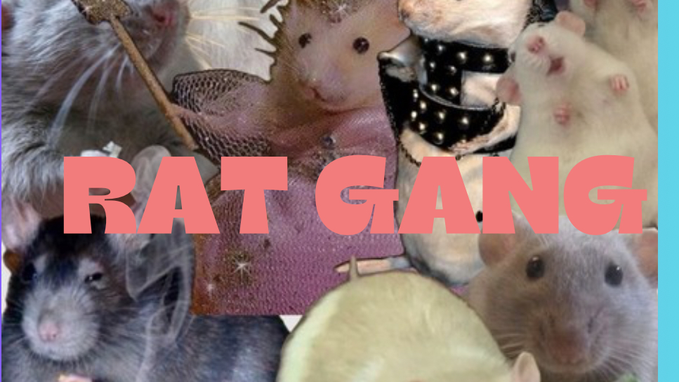 Rat Gangのバナー