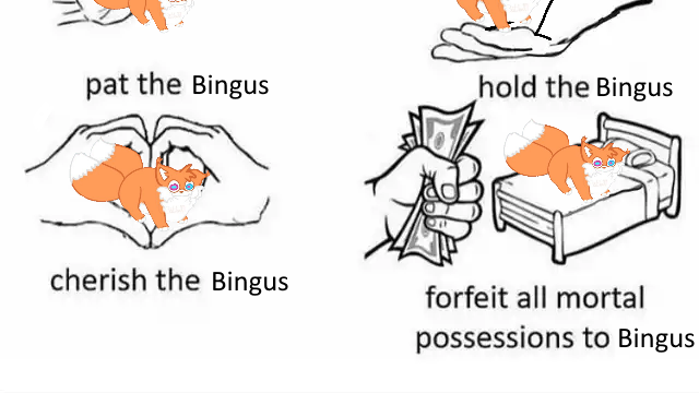 Bingus Cult