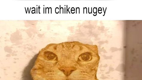 autism glorp