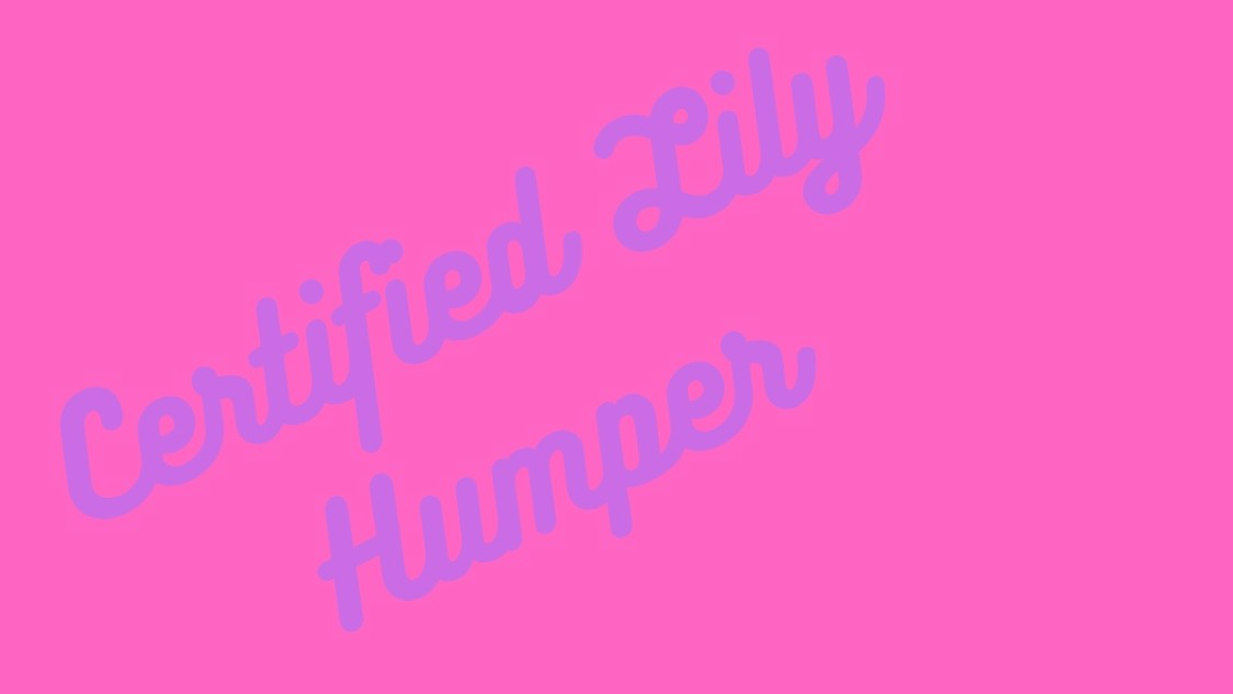 Lily humperのバナー