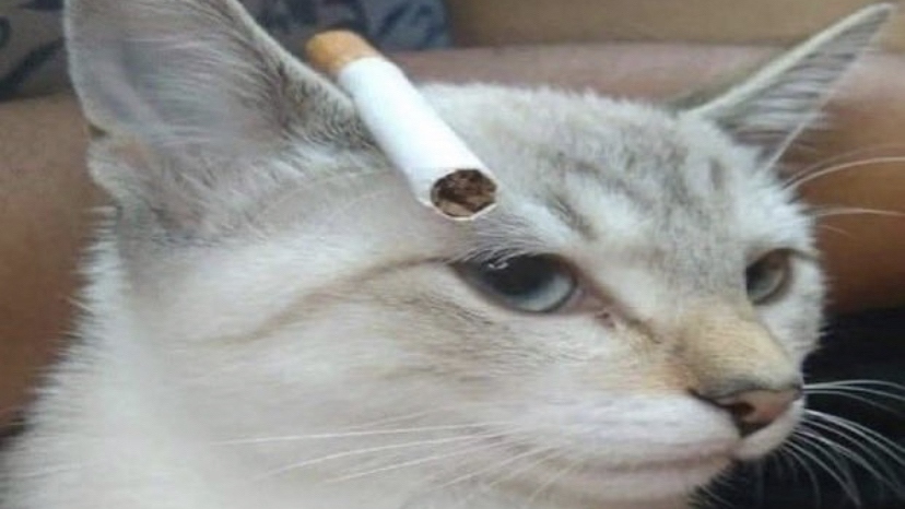 MarshNMoch