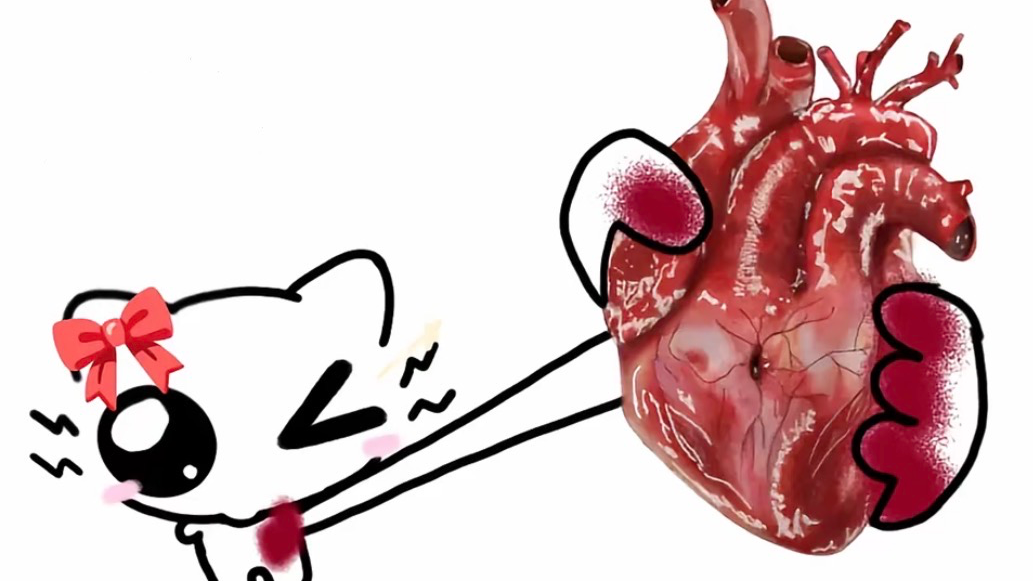 Ilovepetnamesのバナー