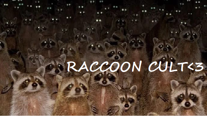 Raccoon Cult