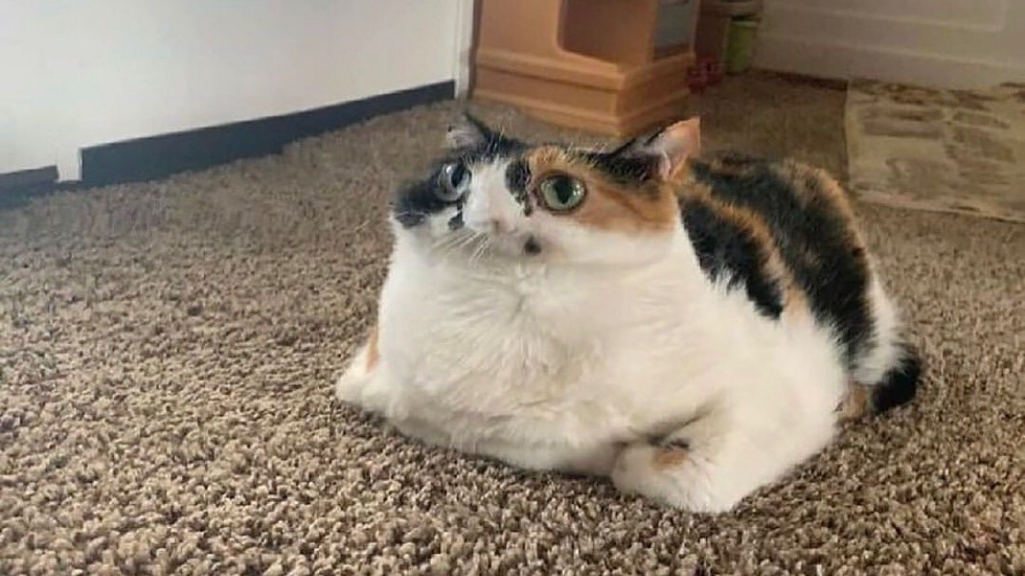 Molding Bread