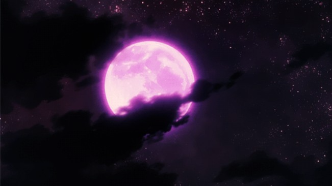 midnight walkersのバナー