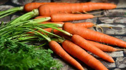 The carrot munchers