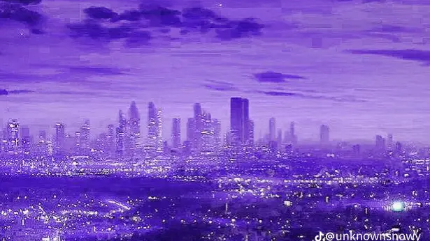 Insomniacsのバナー
