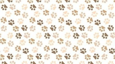 SCP-9622 - 'Hazel'